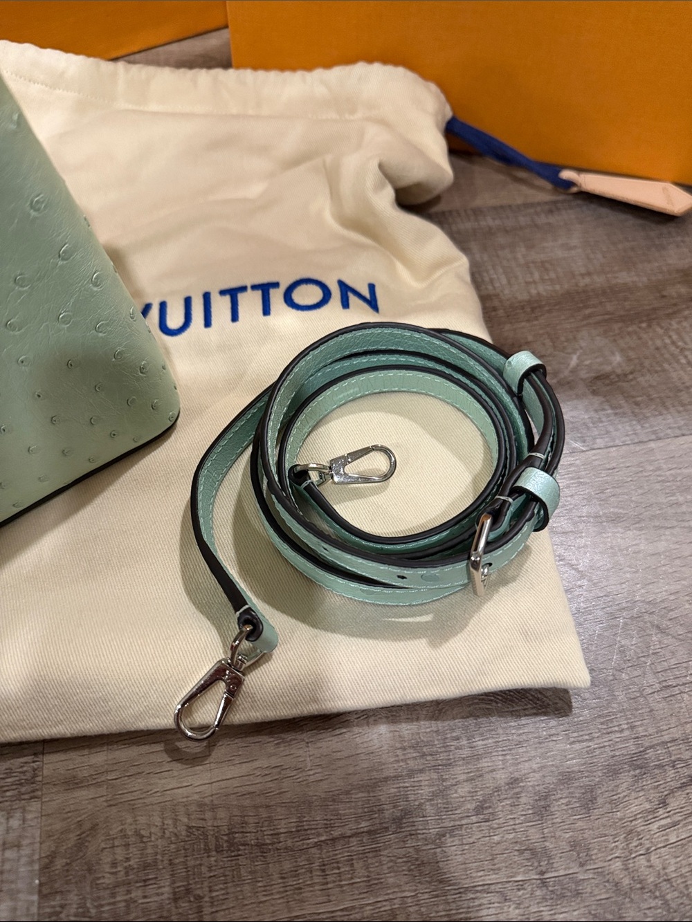 Louis Vuitton Capucines Mini Bag Exotic Ostrich in Mint Green - Picture 7 of 15